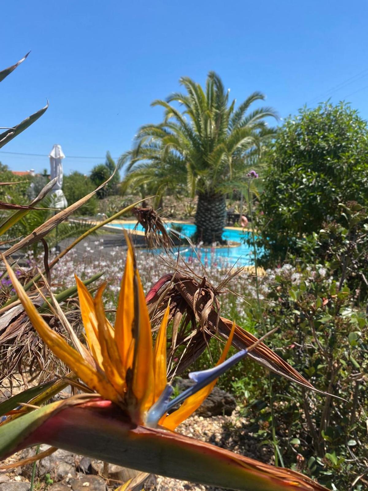 Quinta Cunte - Casa Sobreiro Villa Сао Луис Екстериор снимка
