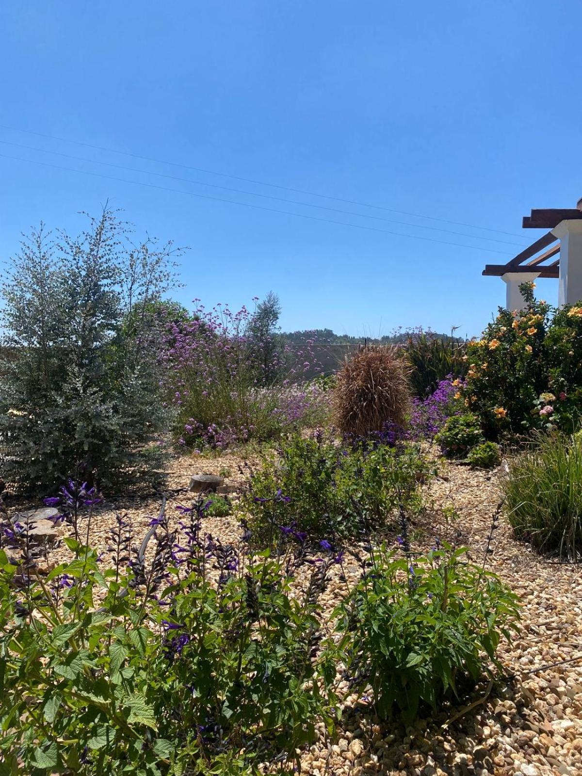 Quinta Cunte - Casa Sobreiro Villa Сао Луис Екстериор снимка